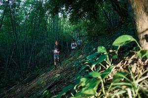 BIB: 
                            <button type="button" onclick="openModal(28123898)" class="btn btn-primary btn-sm float-right btn-popup" data-toggle="modal" data-target=".modal-high-quality">
                        <i class="fas fa-shopping-cart"></i> Add to Cart
                    </button>
                                            <button type="button" onclick="isThisMe(28123898, true)" class="btn btn-success btn-sm float-right btn-popup btn-isme hidden" data-toggle="tooltip" data-placement="bottom" title="นี่คือรูปของคุณใช่ไหม คลิกที่นี่เพื่อเอาเข้าอัลบั้ม">
                        <i class="fas fa-plus"></i> Add to album
                    </button>
                    <button type="button" onclick="isThisMe(28123898, false)" class="btn btn-warning btn-sm float-right btn-popup btn-isnotme hidden">
                        <i class="fas fa-ban"></i> Remove from album
                    </button>